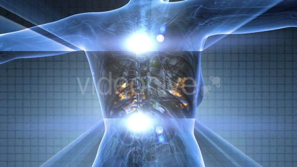 Human Body With Visible Glow Mammary Gland - Download Videohive 18017417