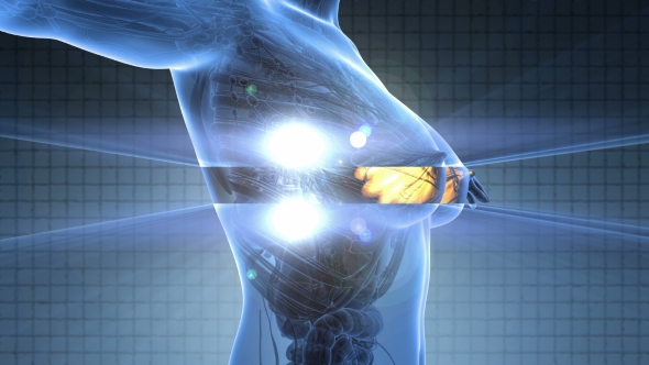 Human Body With Visible Glow Mammary Gland - Download Videohive 18017417