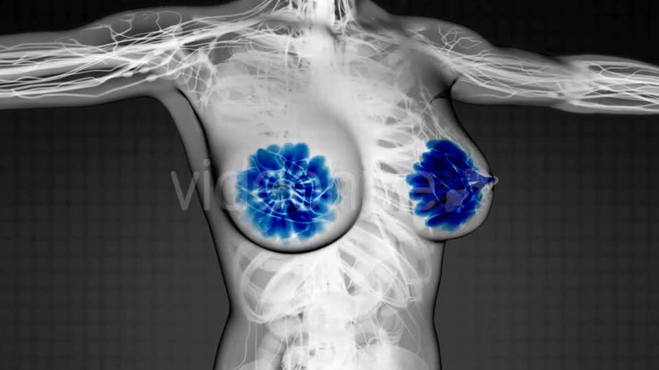 Human Body with Visible Glow Mammary Gland - Download Videohive 20506624