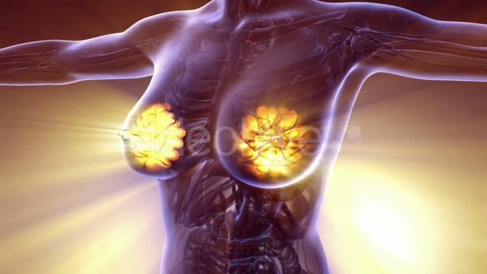 Human Body with Visible Glow Mammary Gland - Download Videohive 20567315