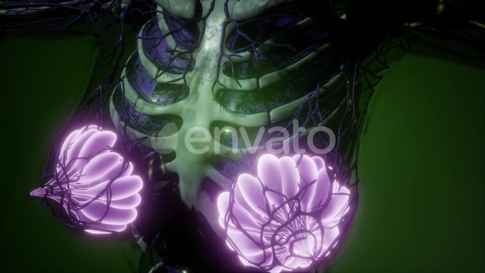 Human Body with Visible Glow Mammary Gland - Download Videohive 21723260