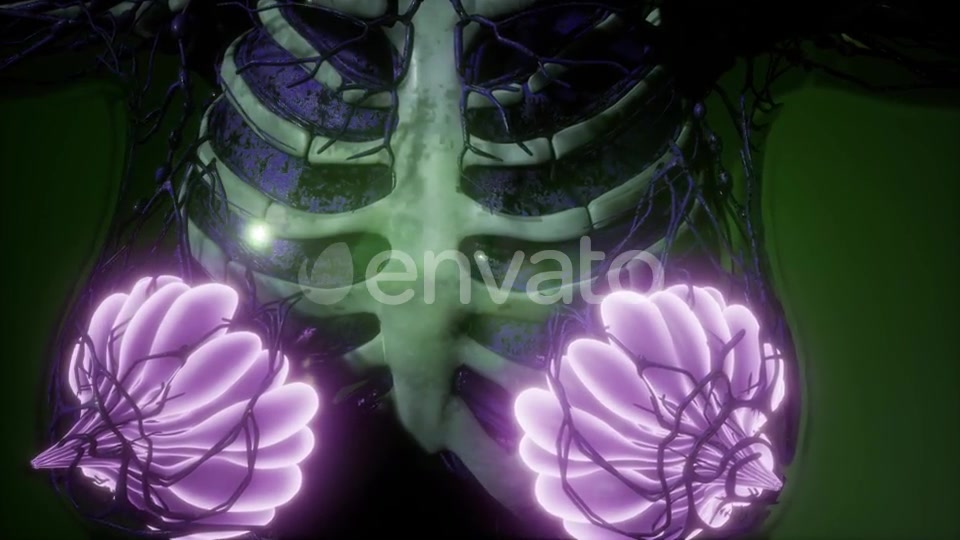 Human Body with Visible Glow Mammary Gland - Download Videohive 21723260