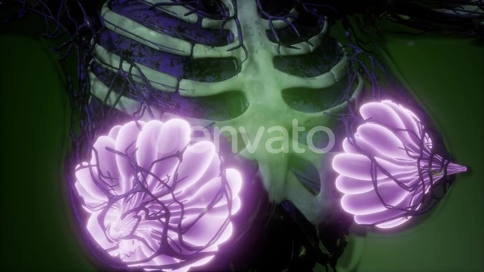 Human Body with Visible Glow Mammary Gland - Download Videohive 21723260