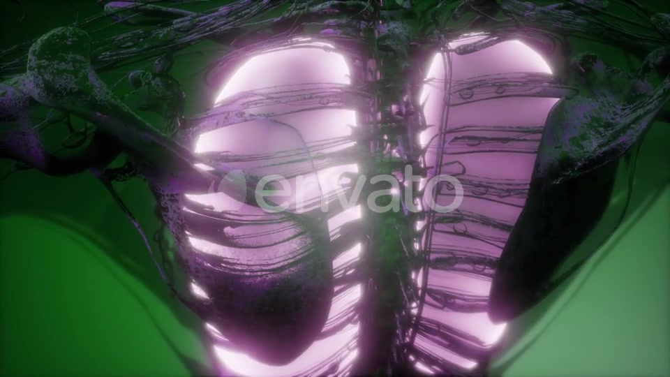 Human Body with Visible Lungs - Download Videohive 21914996