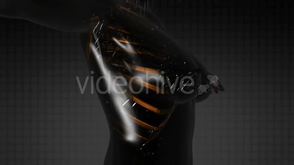 Human Body with Visible Skeletal Bones - Download Videohive 21094717