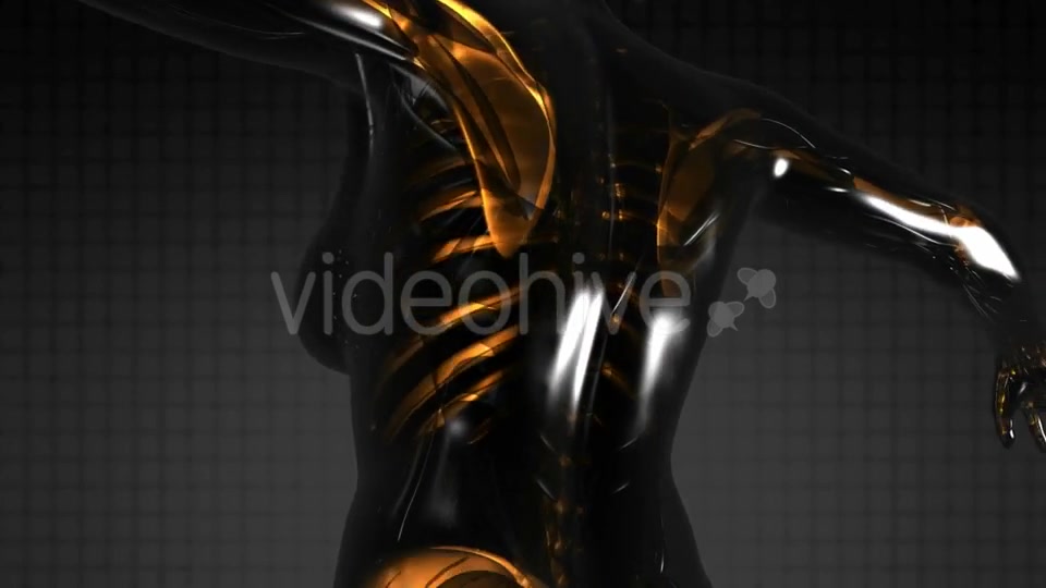 Human Body with Visible Skeletal Bones - Download Videohive 21094717
