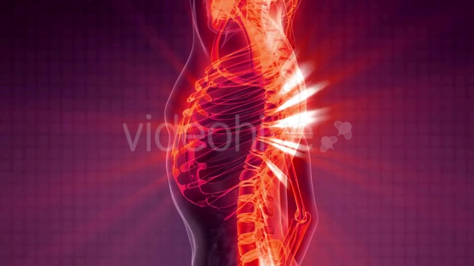 Human Body with Visible Skeletal Bones - Download Videohive 21204896