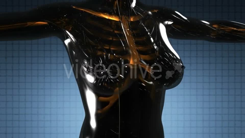 Human Body with Visible Skeletal Bones - Download Videohive 21264216