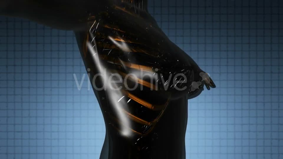 Human Body with Visible Skeletal Bones - Download Videohive 21264216