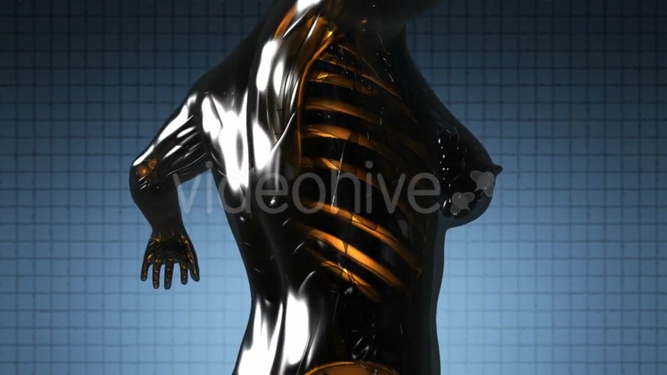 Human Body with Visible Skeletal Bones - Download Videohive 21264216