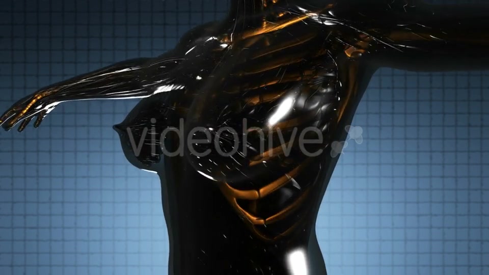 Human Body with Visible Skeletal Bones - Download Videohive 21264216