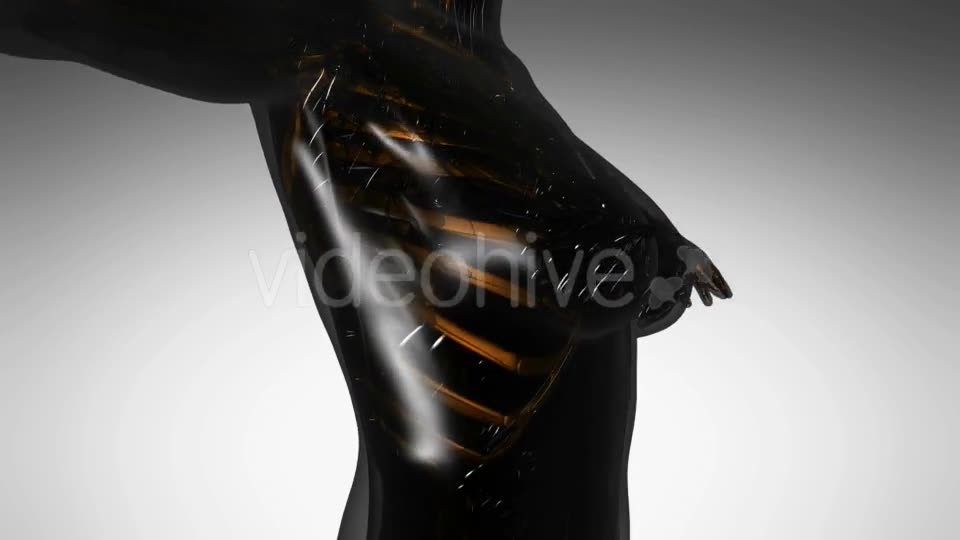 Human Body with Visible Skeletal Bones - Download Videohive 21264221