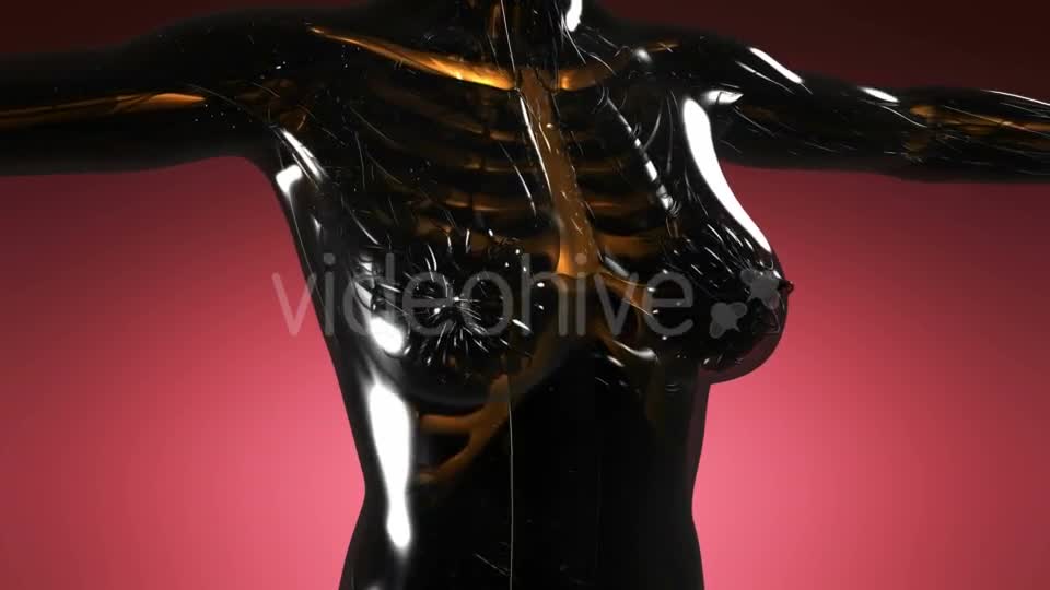 Human Body with Visible Skeletal Bones - Download Videohive 21297239