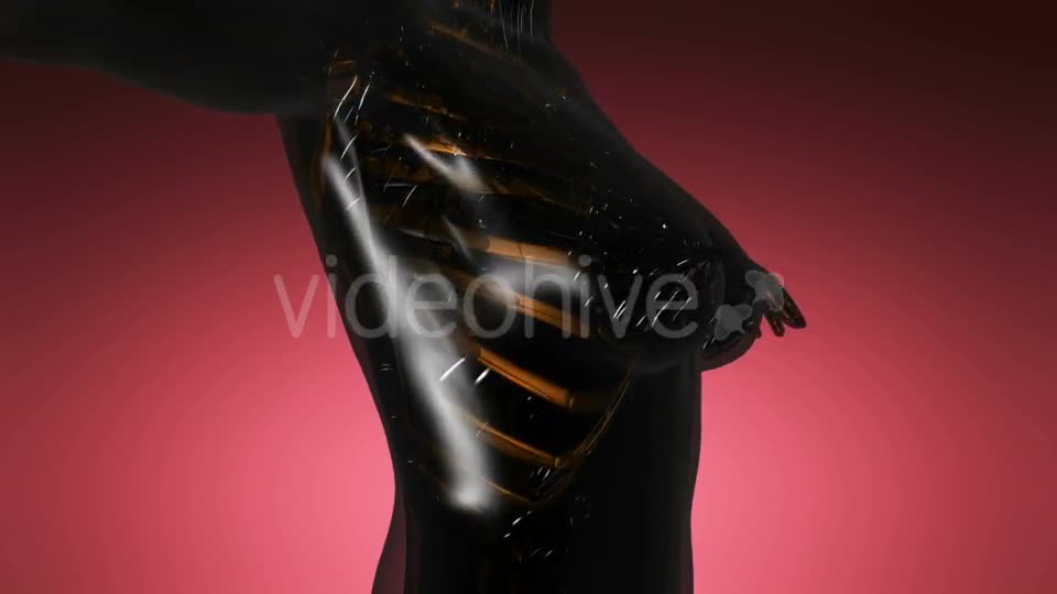 Human Body with Visible Skeletal Bones - Download Videohive 21297239