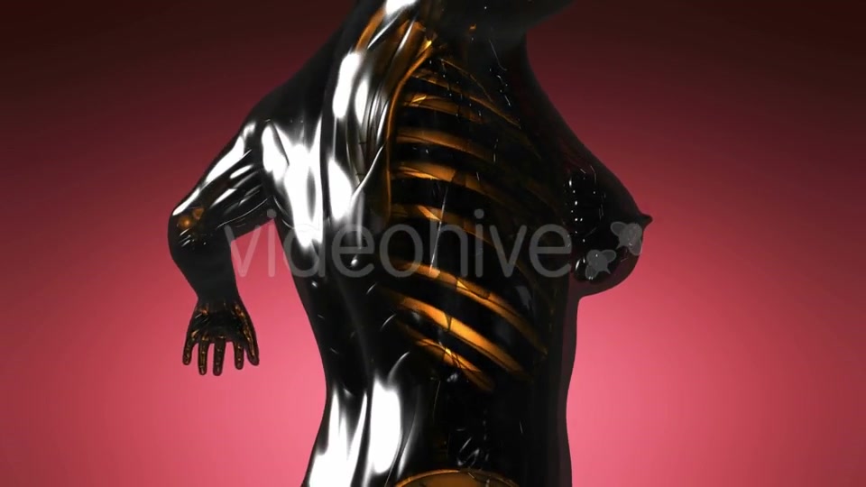 Human Body with Visible Skeletal Bones - Download Videohive 21297239