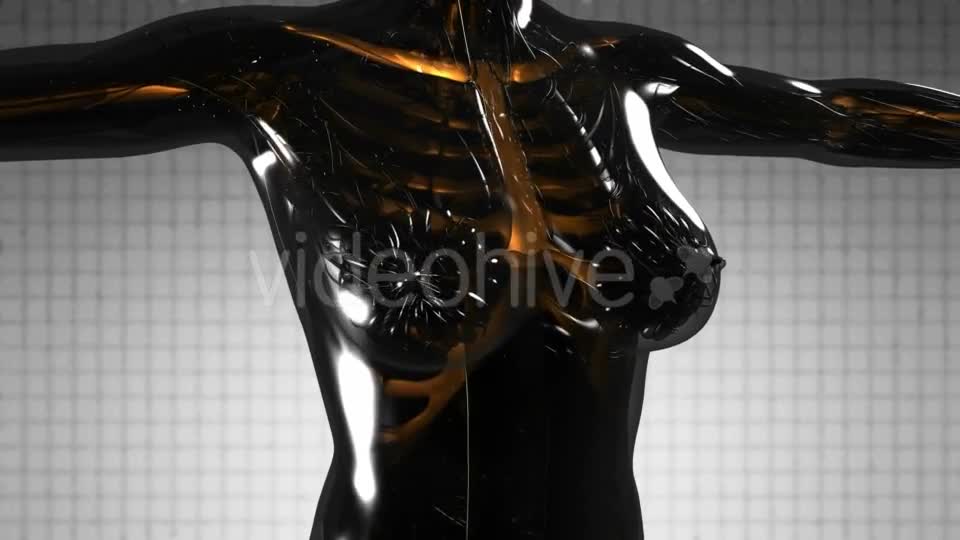 Human Body with Visible Skeletal Bones - Download Videohive 21297334