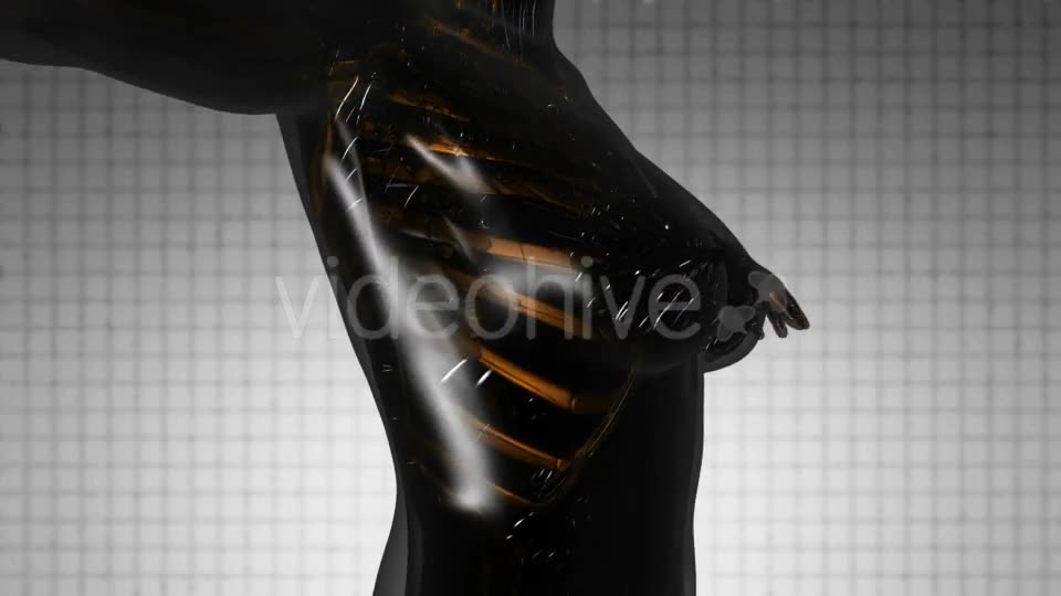 Human Body with Visible Skeletal Bones - Download Videohive 21297334