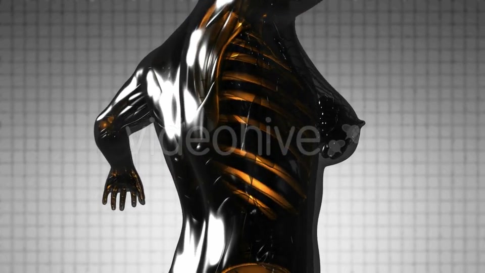 Human Body with Visible Skeletal Bones - Download Videohive 21297334