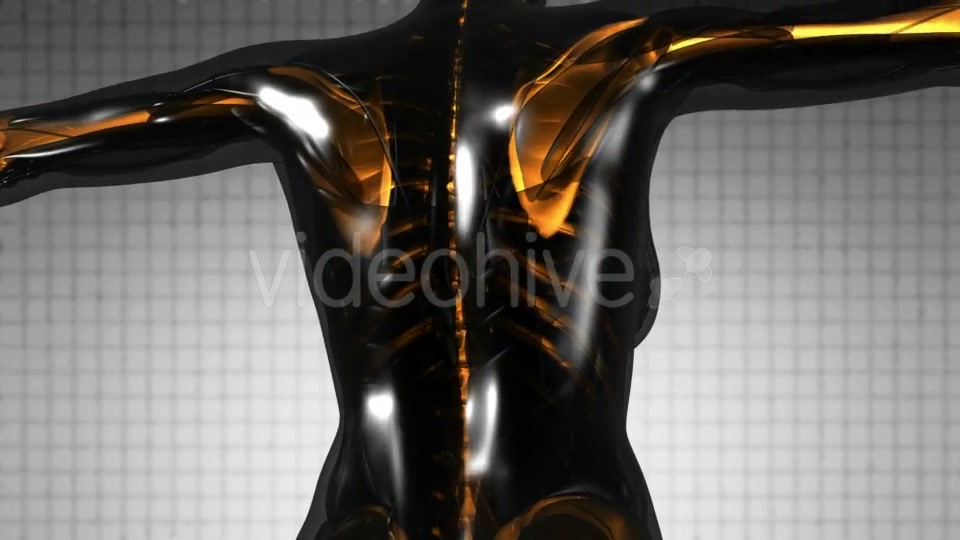 Human Body with Visible Skeletal Bones - Download Videohive 21297334