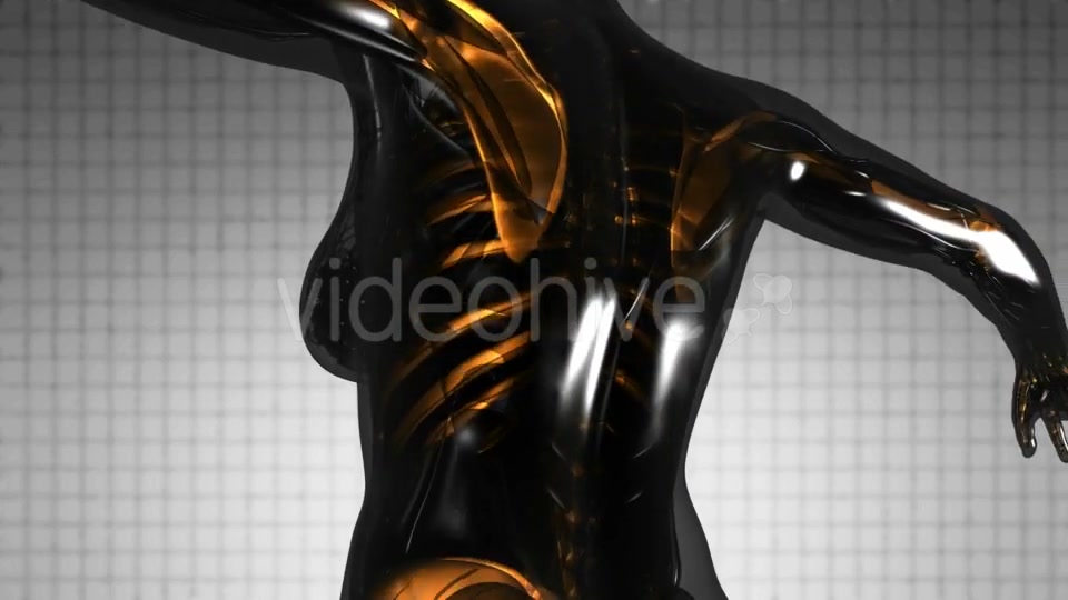 Human Body with Visible Skeletal Bones - Download Videohive 21297334