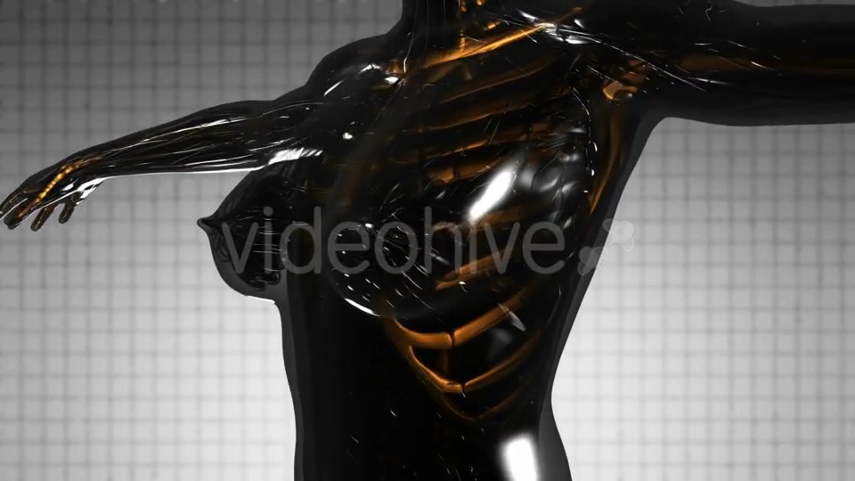 Human Body with Visible Skeletal Bones - Download Videohive 21297334