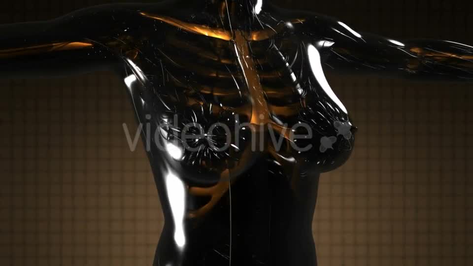 Human Body with Visible Skeletal Bones - Download Videohive 21313570