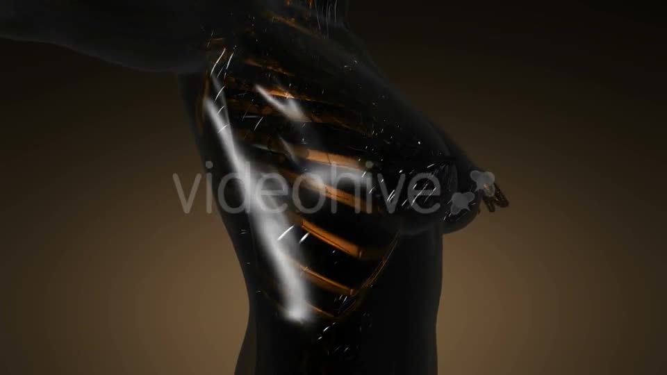 Human Body with Visible Skeletal Bones - Download Videohive 21388929