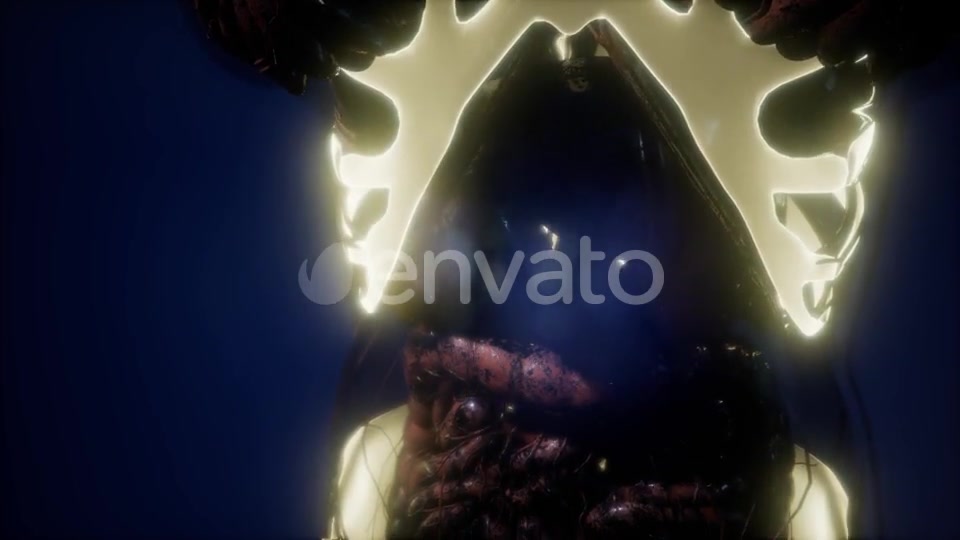 Human Body with Visible Skeletal Bones - Download Videohive 21674398