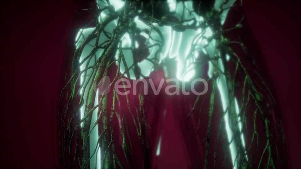 Human Body with Visible Skeletal Bones - Download Videohive 21742992