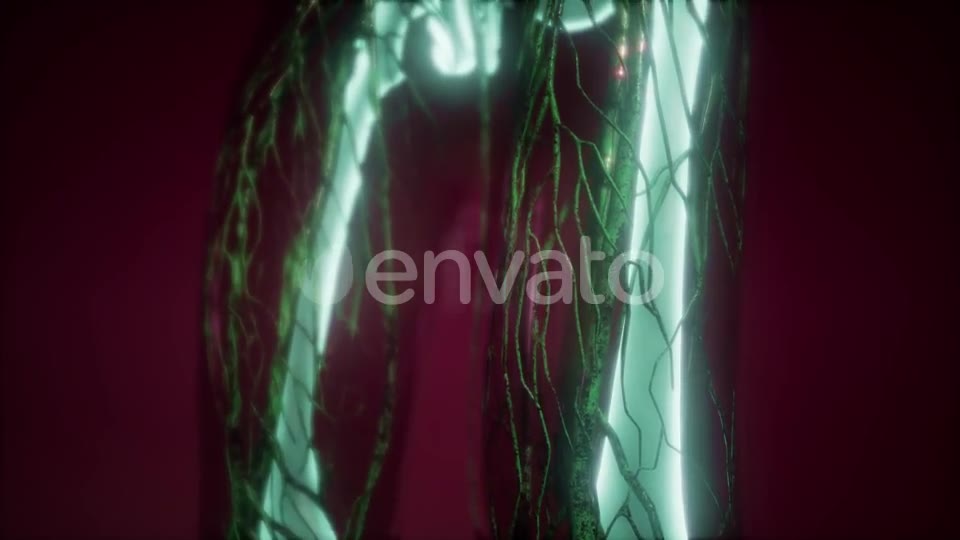 Human Body with Visible Skeletal Bones - Download Videohive 21987451