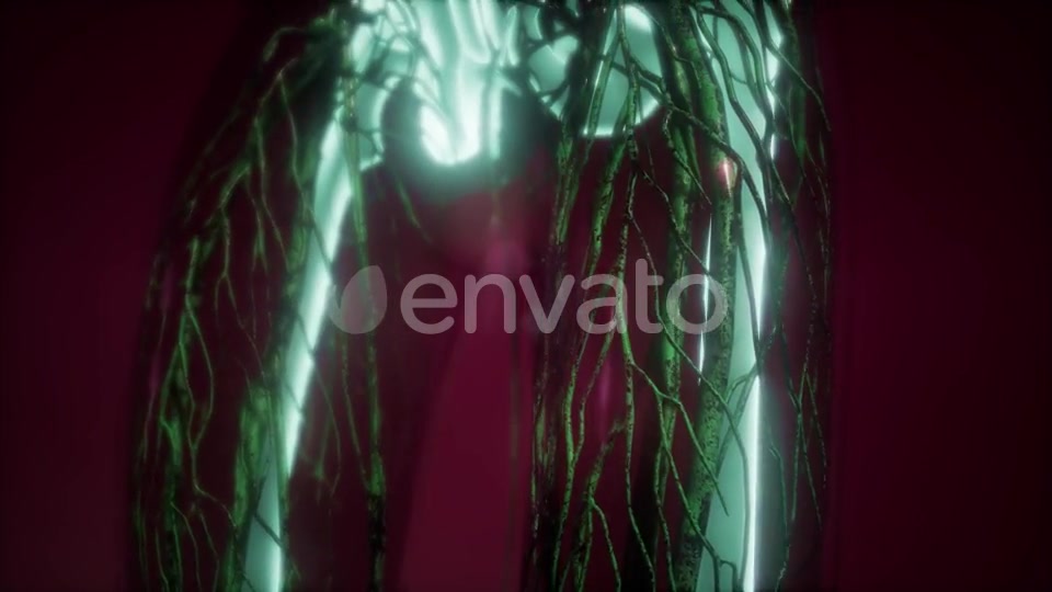 Human Body with Visible Skeletal Bones - Download Videohive 21987451