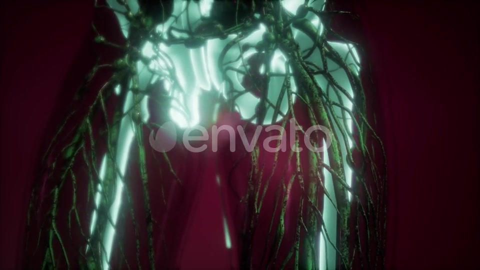 Human Body with Visible Skeletal Bones - Download Videohive 21987451