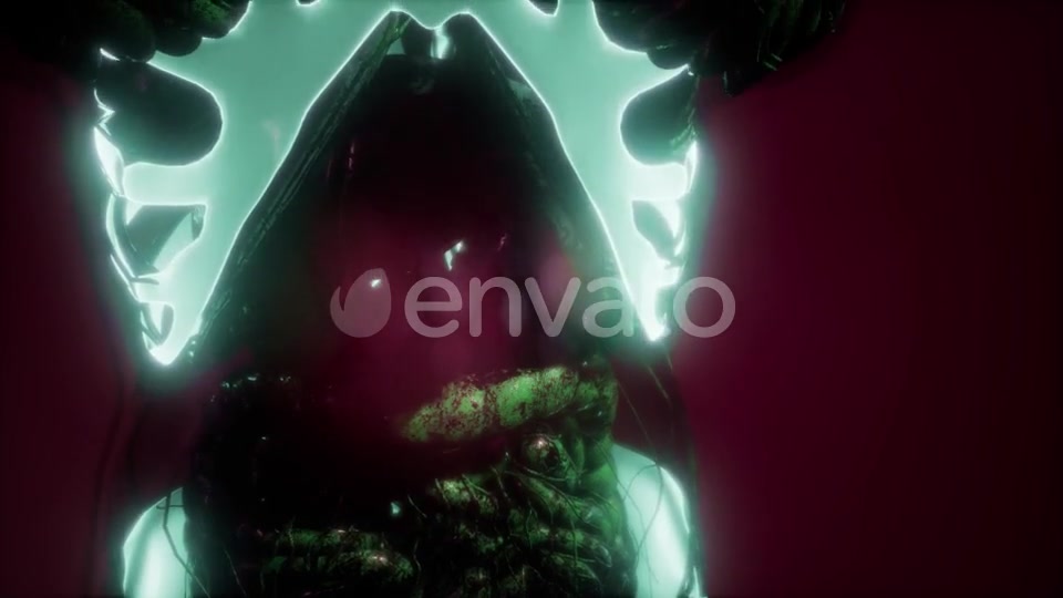 Human Body with Visible Skeletal Bones - Download Videohive 21987451