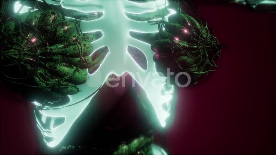 Human Body with Visible Skeletal Bones - Download Videohive 21987451