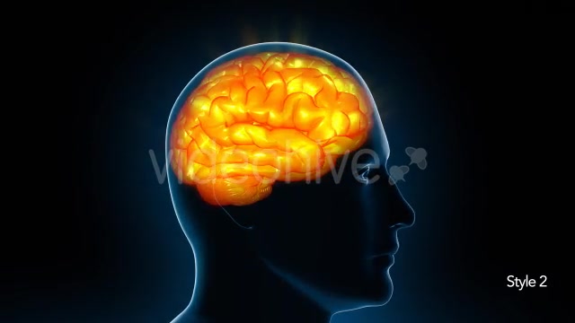 Human Brain X Ray - Download Videohive 11532795