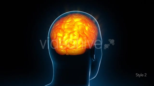 Human Brain X Ray - Download Videohive 11532795
