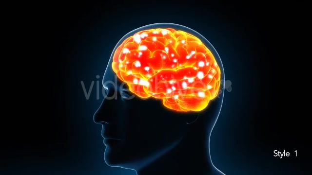 Human Brain X Ray - Download Videohive 11532795