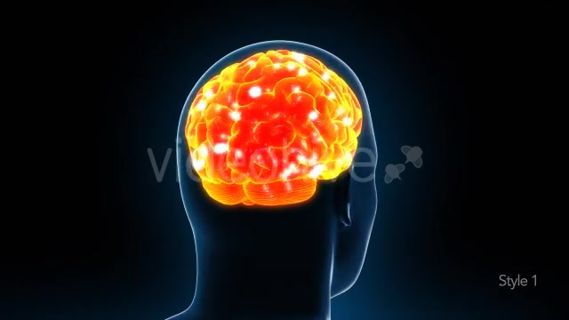 Human Brain X Ray - Download Videohive 11532795