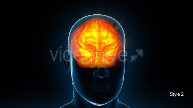 Human Brain X Ray - Download Videohive 11532795