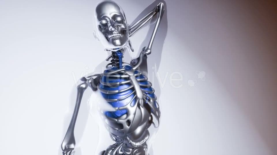 Human Lungs Model with All Organs and Bones - Download Videohive 21118389