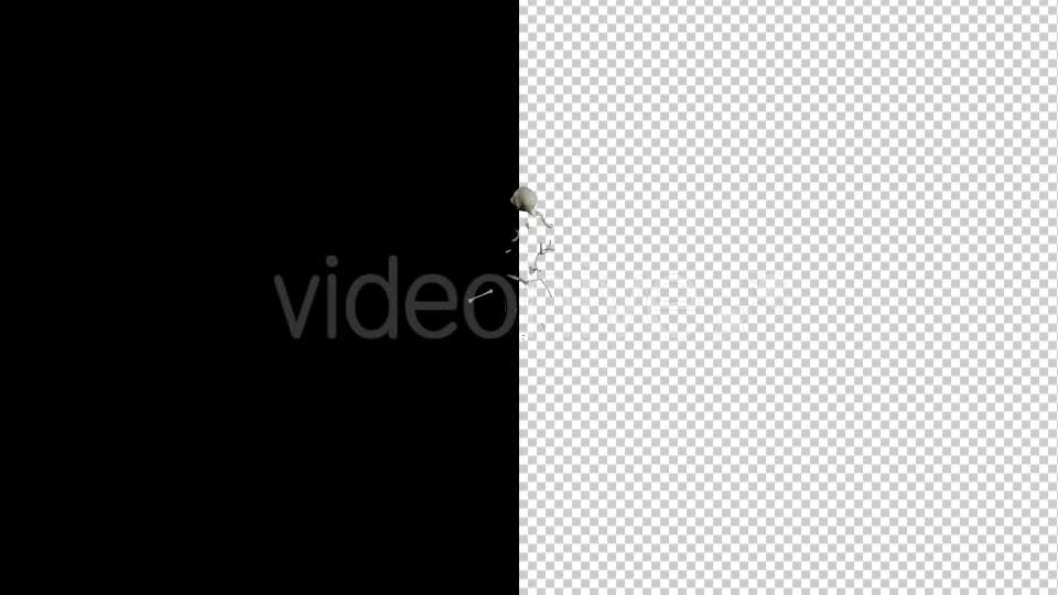 Human Skeleton Transforming 1 - Download Videohive 19767246