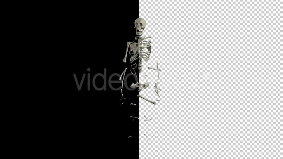 Human Skeleton Transforming 1 - Download Videohive 19767246
