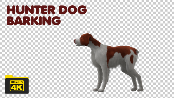 Hunter Dog Barking - Download Videohive 19744045