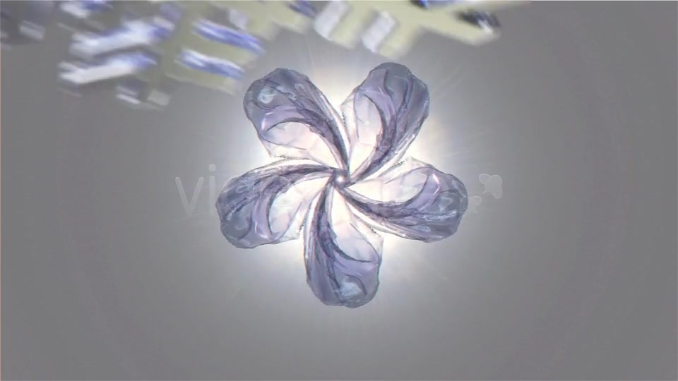 Ice Flower - Download Videohive 6359348