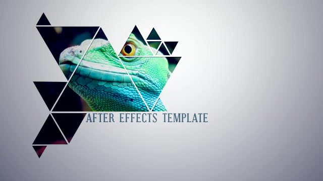 Illustration Videohive 9017001 After Effects Image 4
