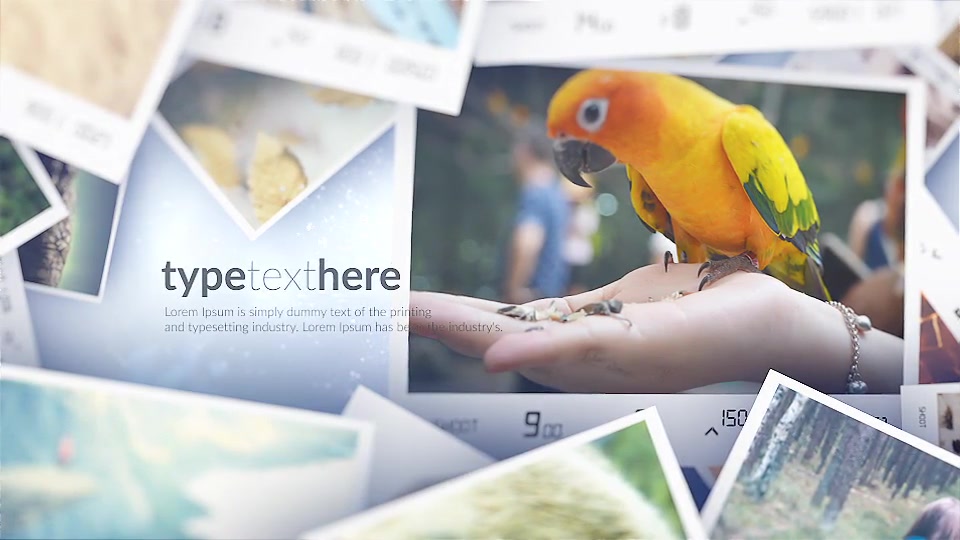 In Depth Slideshow Videohive 23898463 After Effects Image 11