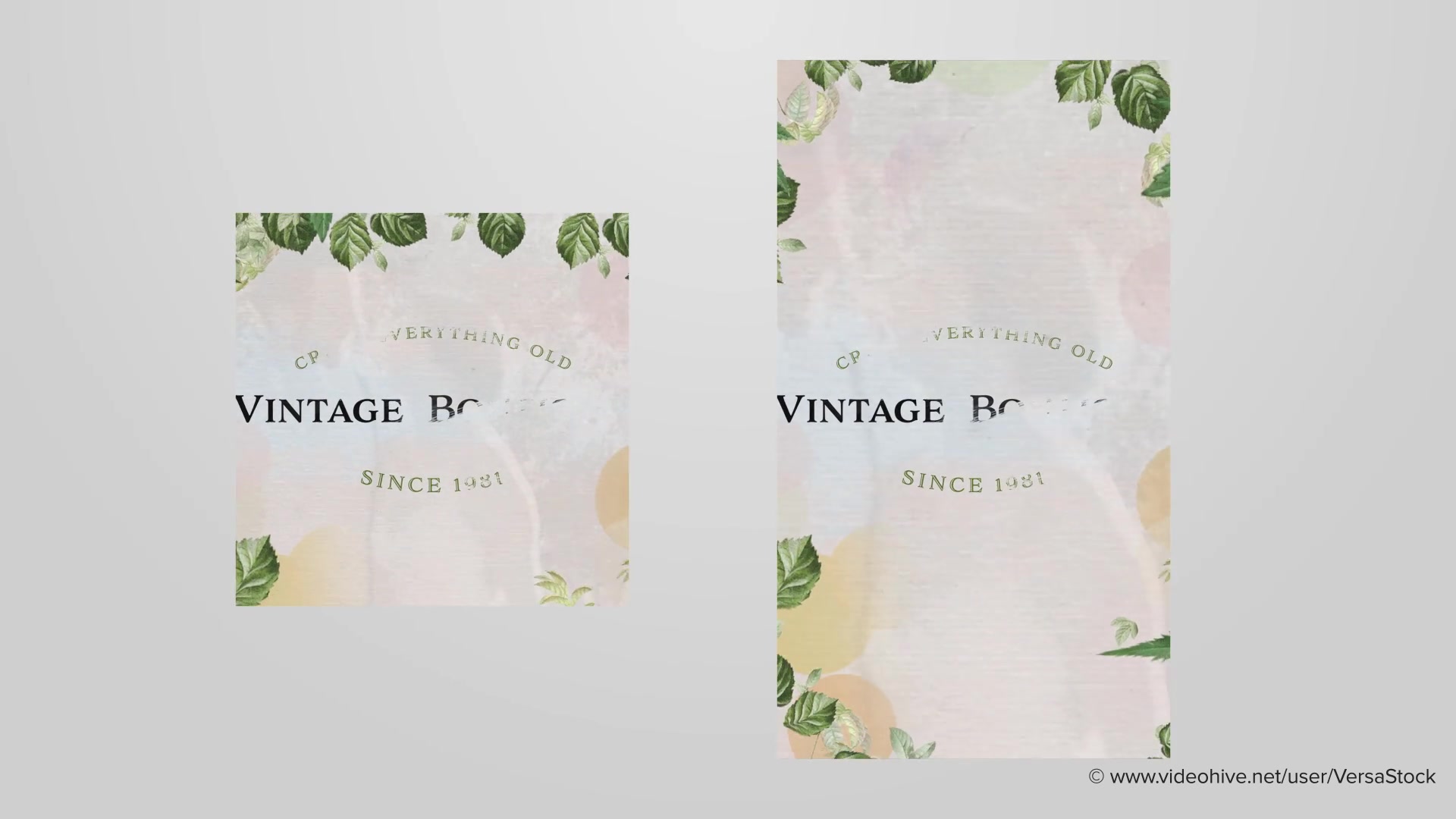 In Full Bloom Floral Vignettes Videohive 27394488 After Effects Image 12