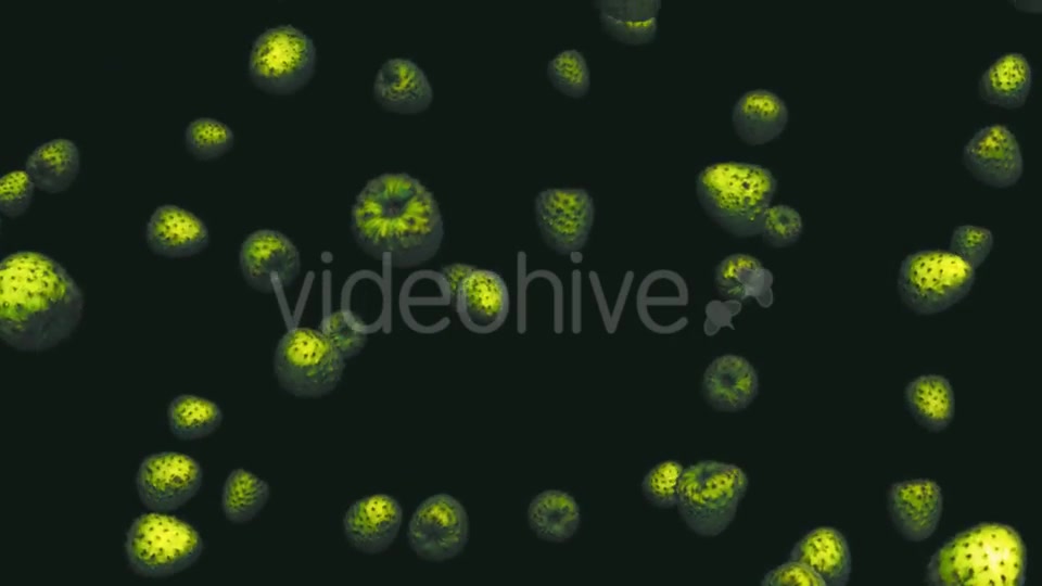 Infinite Rain of Custard Apples on Black - Download Videohive 19471137