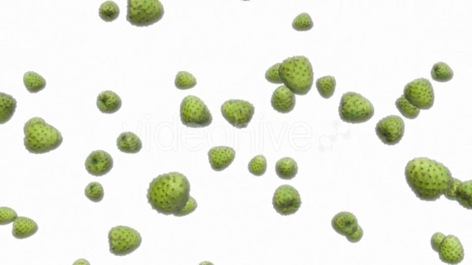 Infinite Rain of Custard Apples on White - Download Videohive 19471140