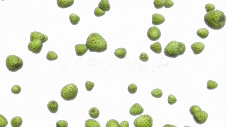 Infinite Rain of Custard Apples on White - Download Videohive 19471140